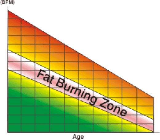 Fat Burning Zone - Old Science